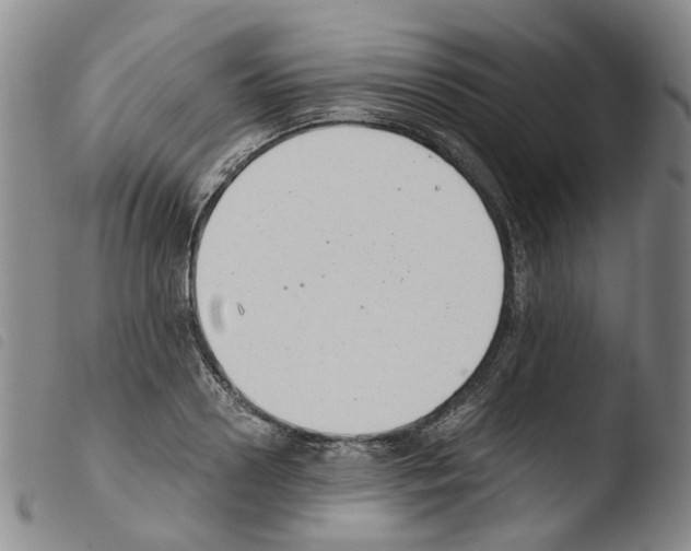 X0000103480938200810241034
