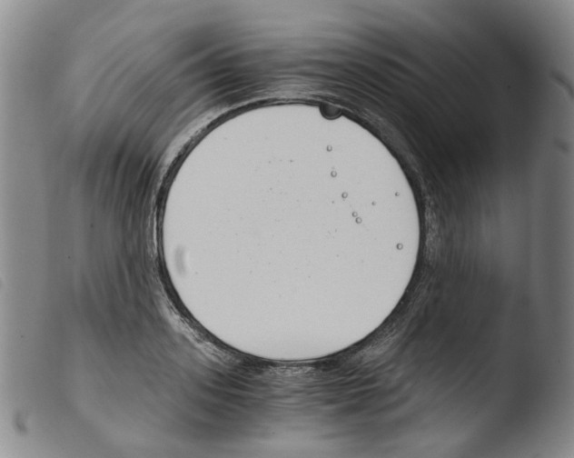 X0000103480939200810241034