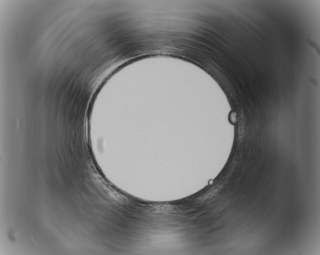 X0000103480940200810241034