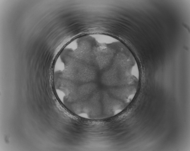 X0000103480941200810241034