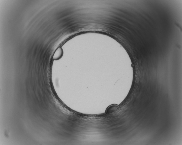 X0000103480942200810241034