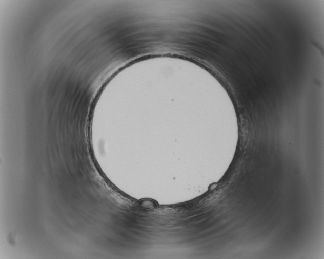 X0000103480943200810241034