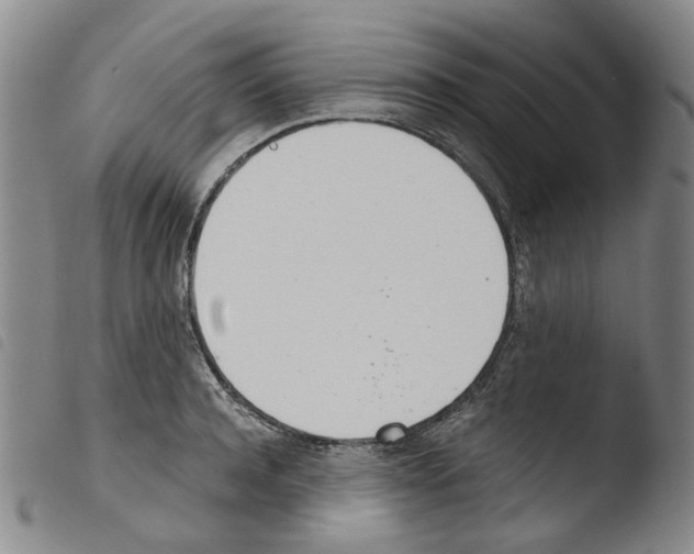 X0000103480944200810241034