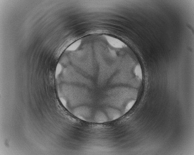 X0000103480945200810241034