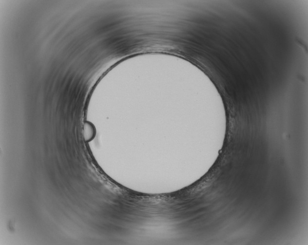 X0000103480948200810241035