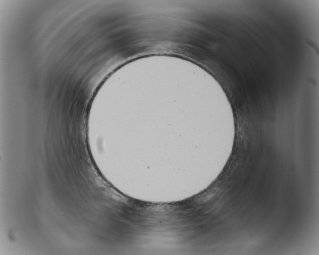 X0000103480950200810241035