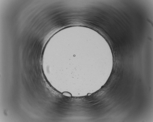 X0000103480951200810241035