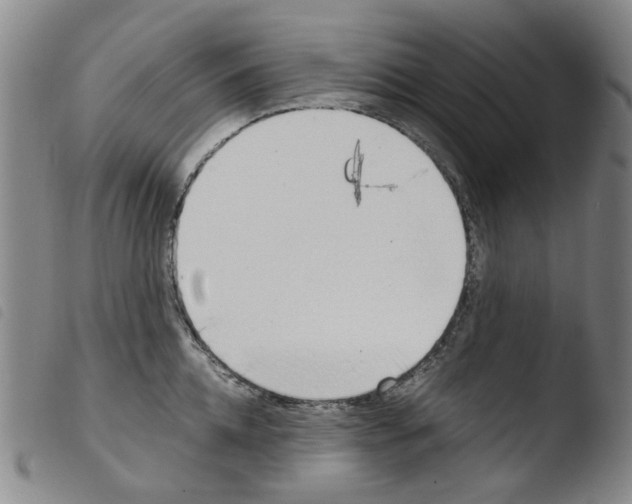 X0000103480952200810241035