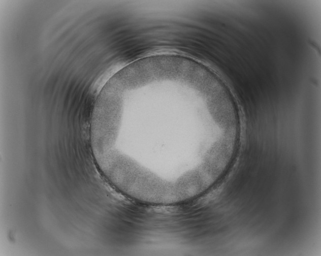 X0000103480953200810241035
