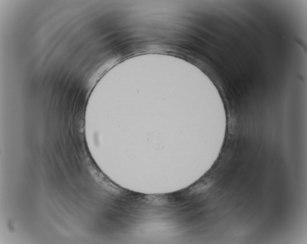 X0000103480954200810241035