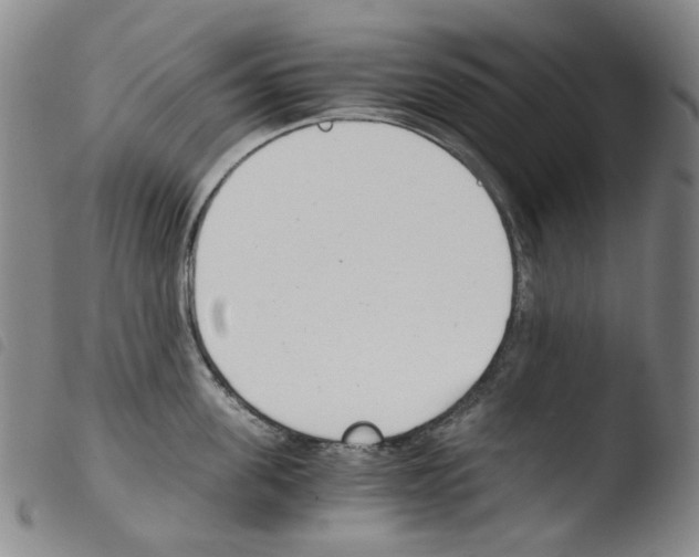 X0000103480955200810241035