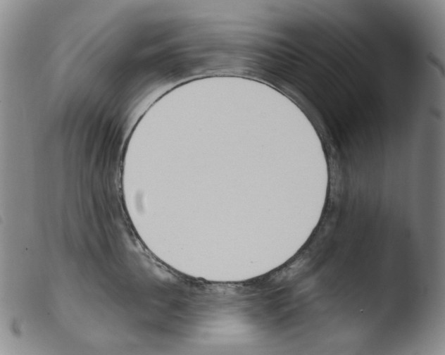 X0000103480956200810241035