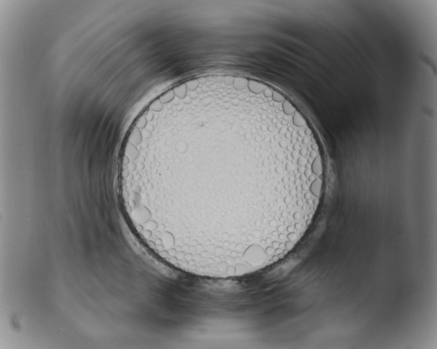 X0000103480957200810241035