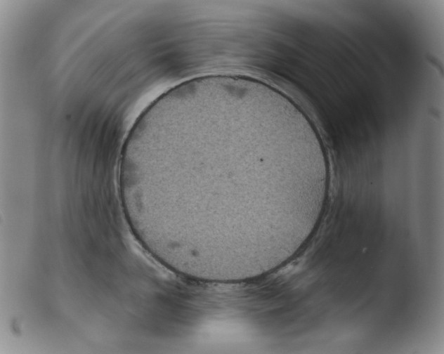 X0000103480958200810241035