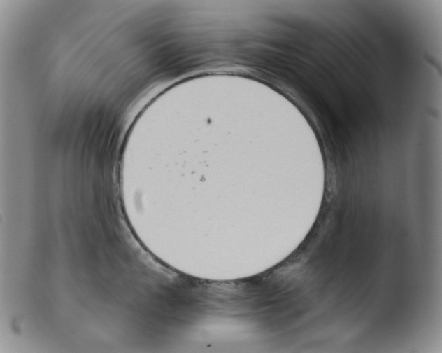 X0000103480959200810241035