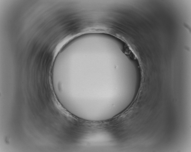 X0000103480960200810241035