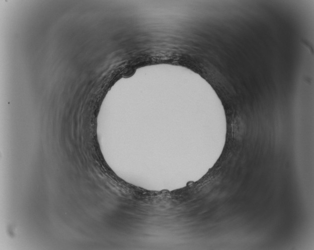 X0000103480961200810241034