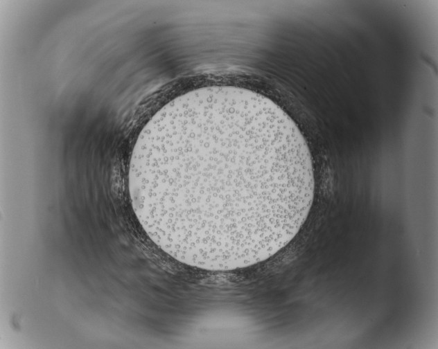 X0000103480966200810241034