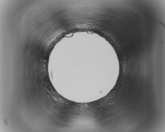 X0000103480968200810241034