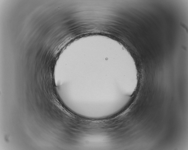 X0000103480969200810241034