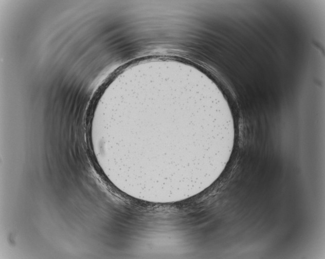 X0000103480972200810241034