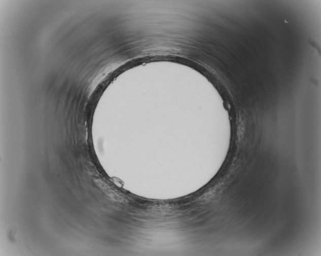 X0000103480973200810241034