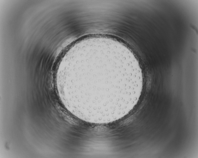 X0000103480974200810241034