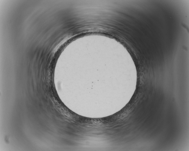X0000103480975200810241034