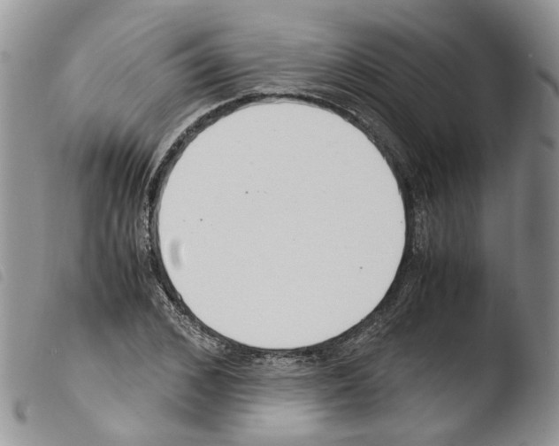 X0000103480976200810241034