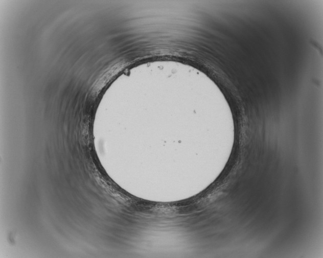 X0000103480977200810241034