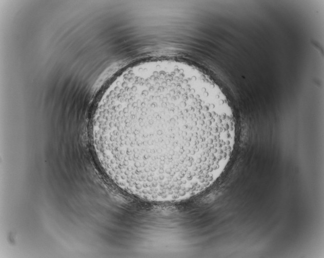 X0000103480978200810241034