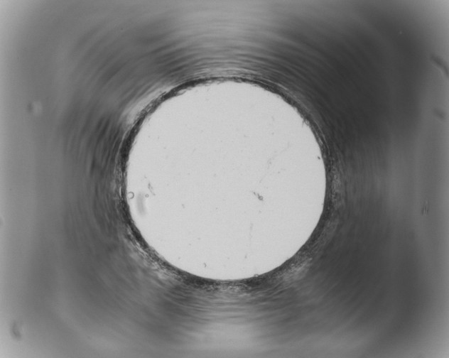 X0000103480979200810241034