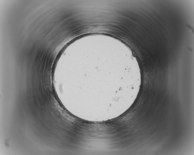 X0000103480980200810241034