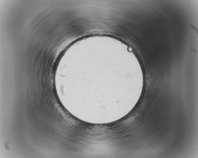 X0000103480981200810241034