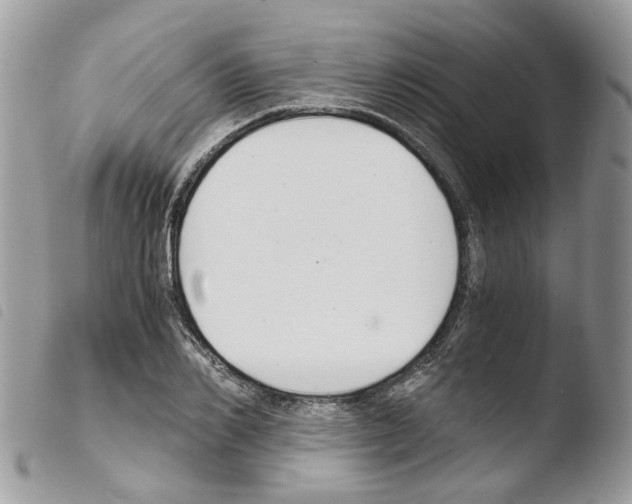 X0000103480982200810241034