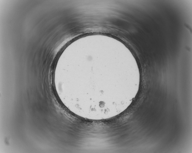 X0000103480983200810241034