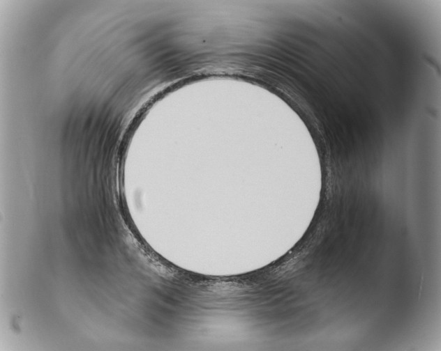 X0000103480984200810241034