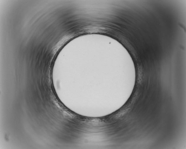X0000103480986200810241033