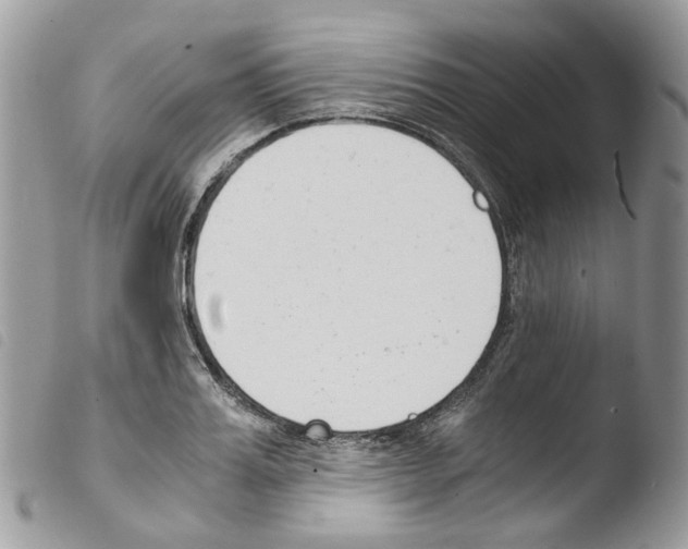 X0000103480987200810241033