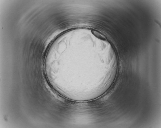 X0000103480989200810241033