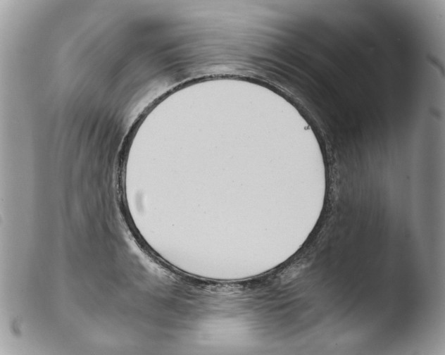 X0000103480991200810241033