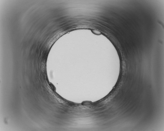 X0000103480993200810241033