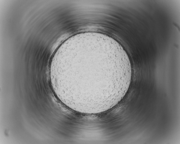 X0000103480994200810241033