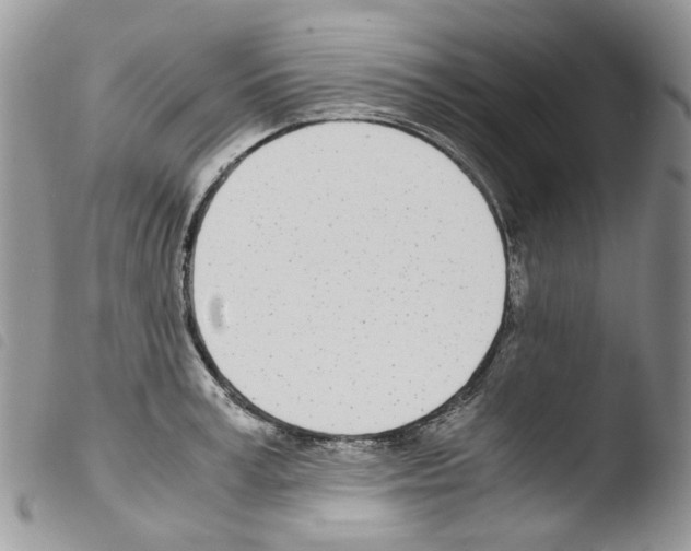 X0000103480995200810241033