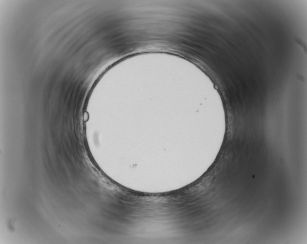 X0000103480996200810241033