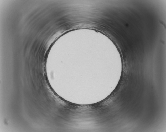 X0000103480997200810241033