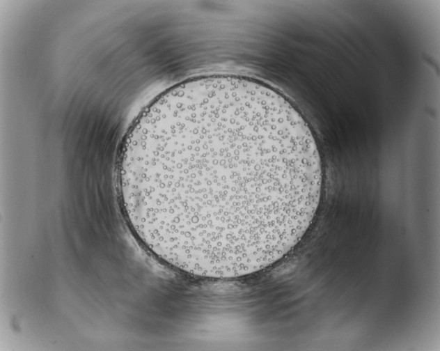 X0000103480998200810241033