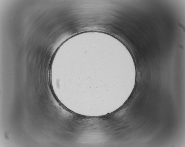 X0000103480999200810241033