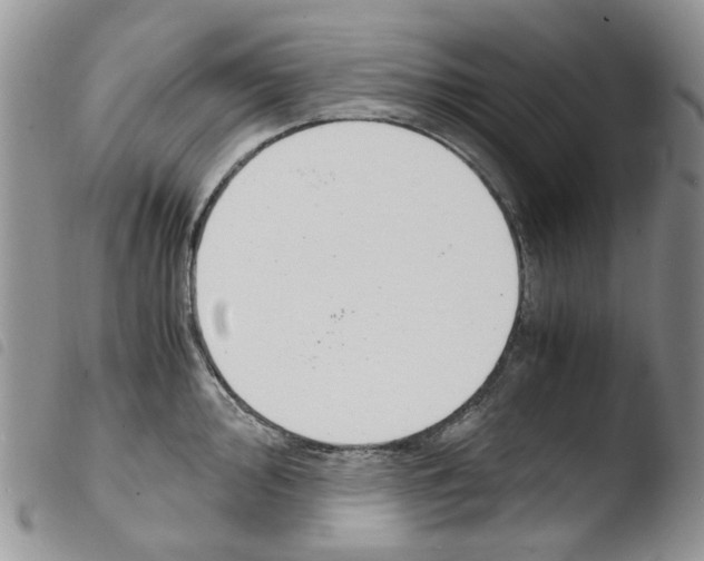 X0000103481000200810241033