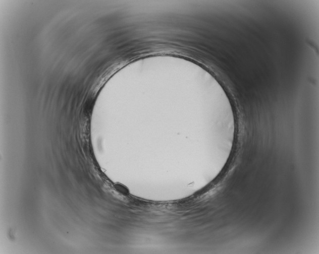 X0000103481001200810241033
